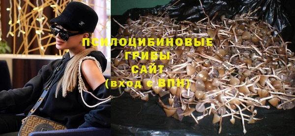 spice Бронницы