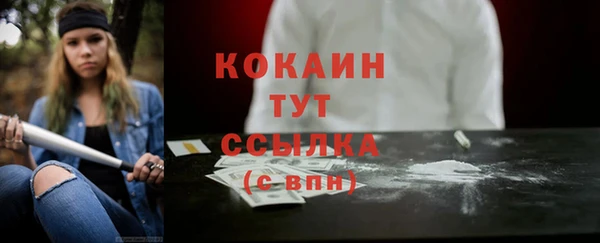 ПСИЛОЦИБИНОВЫЕ ГРИБЫ Верхний Тагил