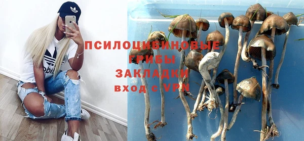 spice Бронницы