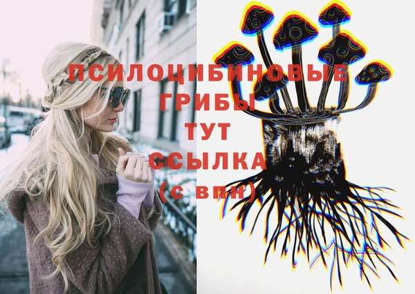 эйфоретик Бородино