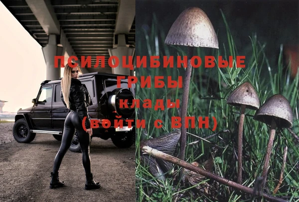 ПСИЛОЦИБИНОВЫЕ ГРИБЫ Верхний Тагил