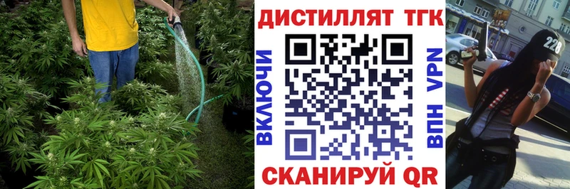 ТГК Wax  закладка  Галич 