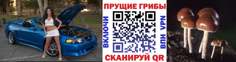 Галлюциногенные грибы GOLDEN TEACHER купить наркоту Галич